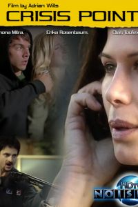 Кризисный момент (2012)