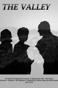   Долина (2017)
