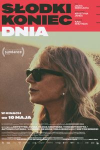   Конец сладкого дня (2019)