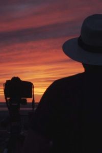   Хроники Найтингейл (2017)