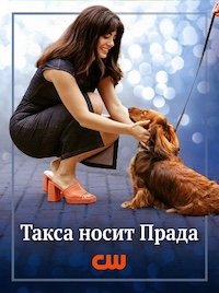 Лапы в городе (2025)